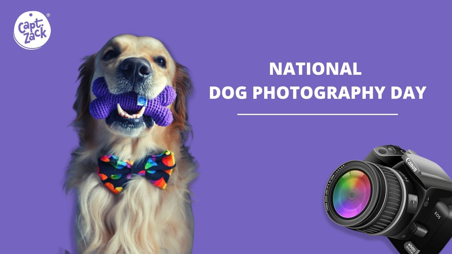 It's National Dog Photography Day! 📷 Captain Zack